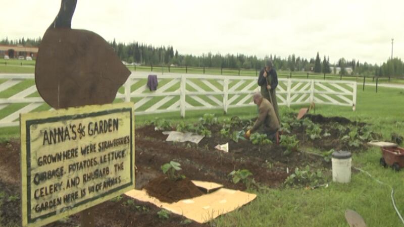 The Fairbanks Garden Club tending to Anna's Garden at Creamer's Field.<br />(Credit: Sarah...