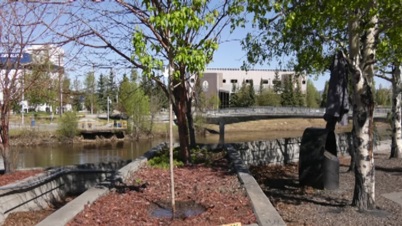 Arbor Day in Alaska is celebrated on the third Monday in May. (Alex Bengel/KTVF)
