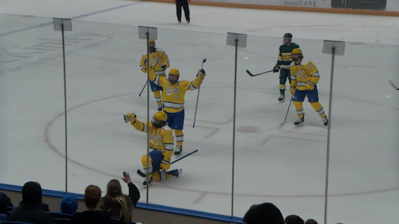 Brady Risk #11, celebrates his goal against Univ. of Alaska Anchorage.