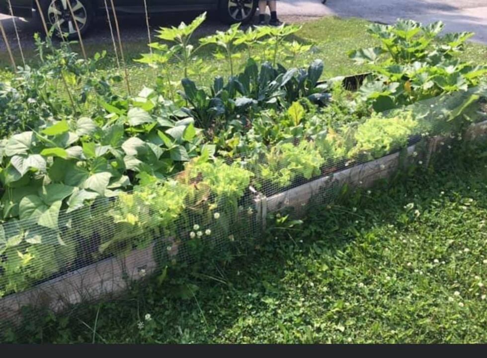 2019 Garden