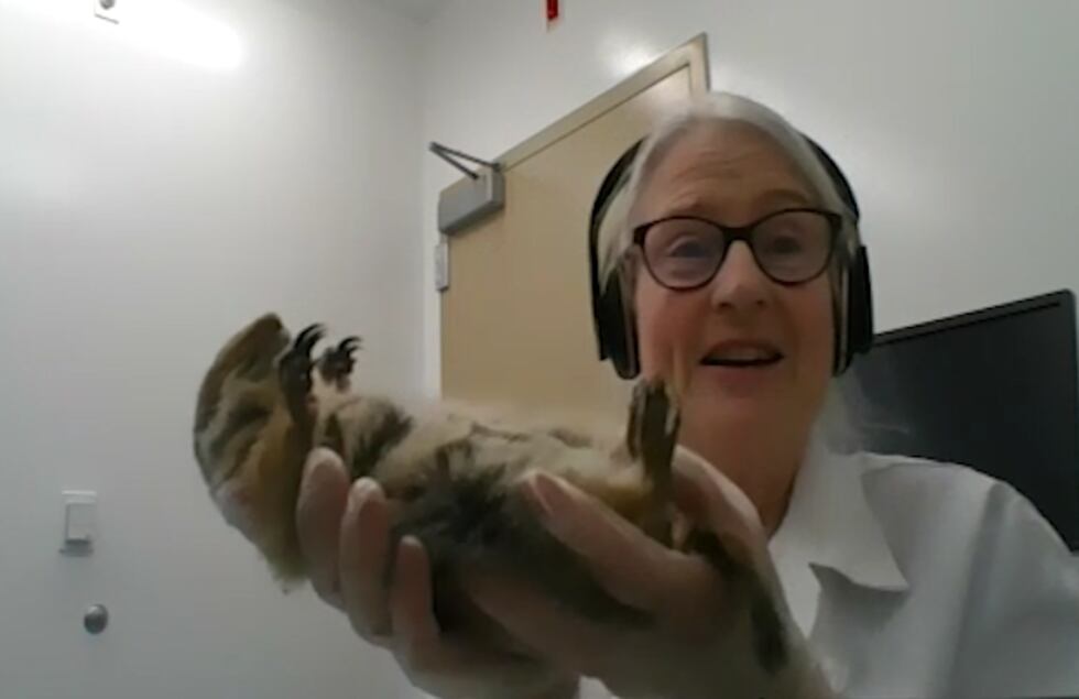 "Most people don't have access to hibernating animals and most people don't see this extreme...