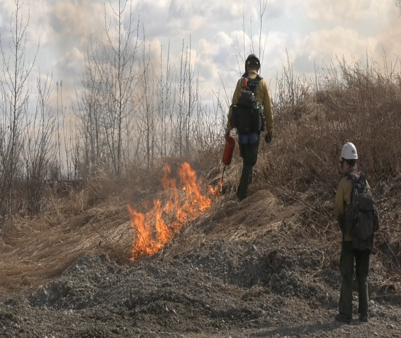 Military Report: BLM partners with Army to prepare for fire season - Vimarsana News