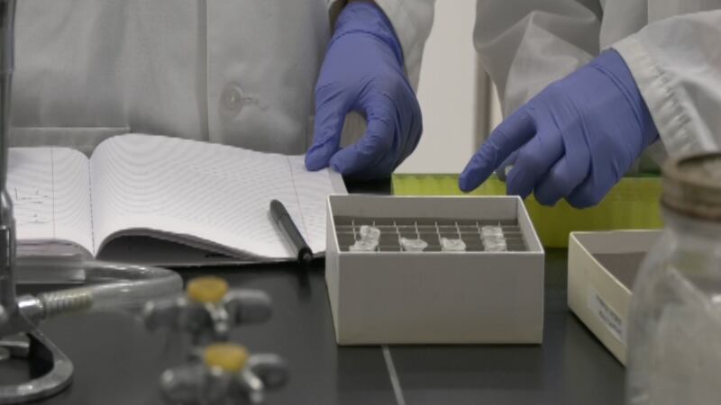 Research technicians at the University of Alaska Fairbanks. (Sara Tewksbury/KTVF)