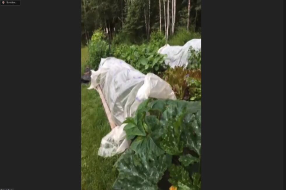 Season Extension Techniques: low tunnel and frost cloth.